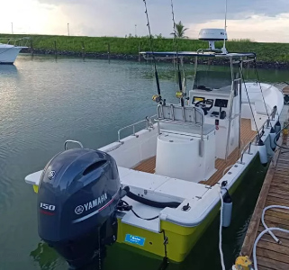 Ist ein Motorfischerboot f&uuml;r die Hochsee- und kommerzielle Fischerei kosteng&uuml;nstig?